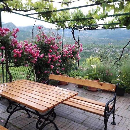 Holiday Home Carevic Gornja Brela Bagian luar foto